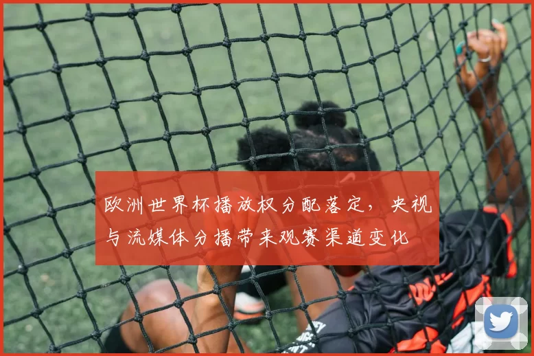 欧洲世界杯播放权分配落定，央视与流媒体分播带来观赛渠道变化