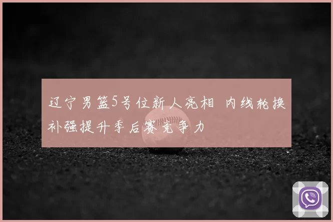 辽宁男篮5号位新人亮相 内线轮换补强提升季后赛竞争力