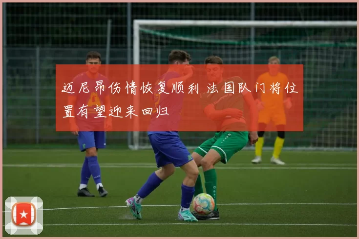 迈尼昂伤情恢复顺利 法国队门将位置有望迎来回归